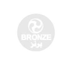 bronzelogo